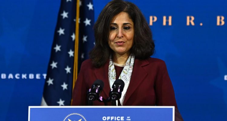 Neera Tanden Faces Scrutiny in the Senate for Her Deleted Tweets and Corporate Money Ties