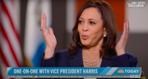 Harris on the Border Crisis:¯\_(ツ)_/¯